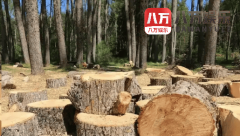 全球数十亿人的养分粮食保障将遭到