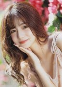 对进口睡、秋水仙、洋甘菊、石榴花、玫瑰花、